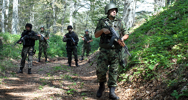 Zajedničke patrole vojske i policije na obezbeđenju državne granice ka Bugarskoj i Makedoniji