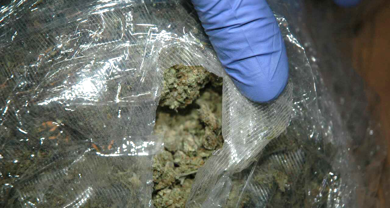 Zaplenjeno kilogram marihuane