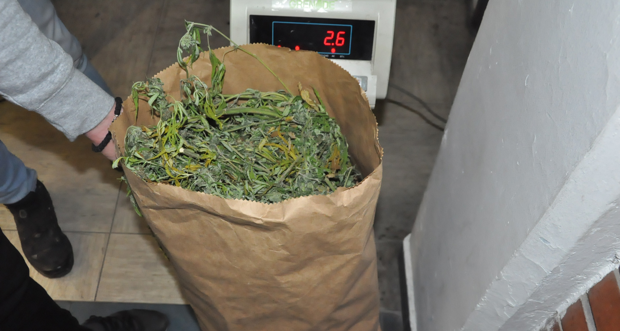 Zaplenjeno više od 10 kilograma marihuane