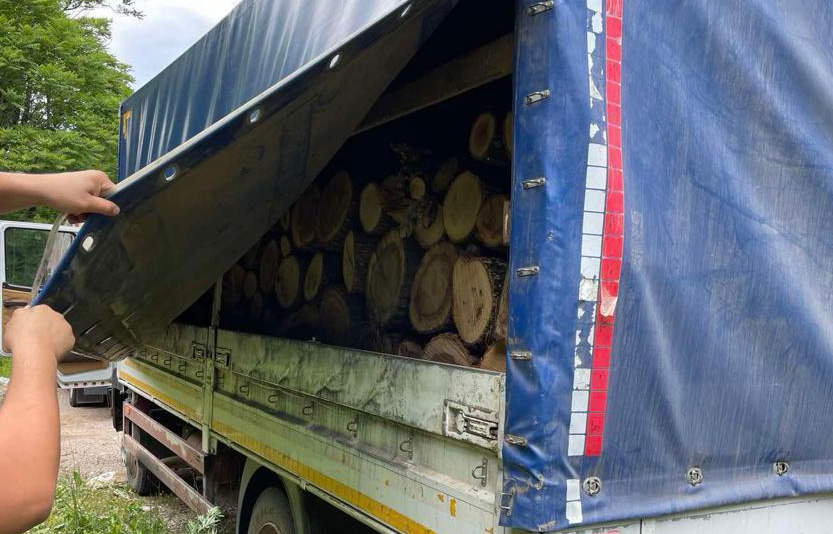 Pojačane kontrole šumskih područja na teritoriji Srbije, kao i vozila koja prevoze drva
