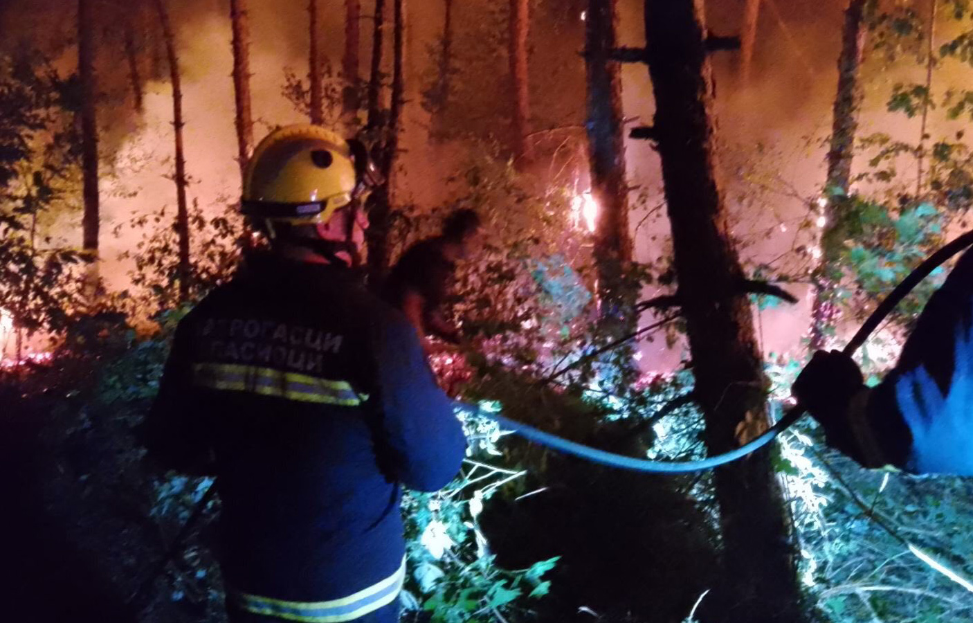 Požar koji je juče izbio u okolini Preševa, za manje od 24 časa stavlјen je pod kontrolu