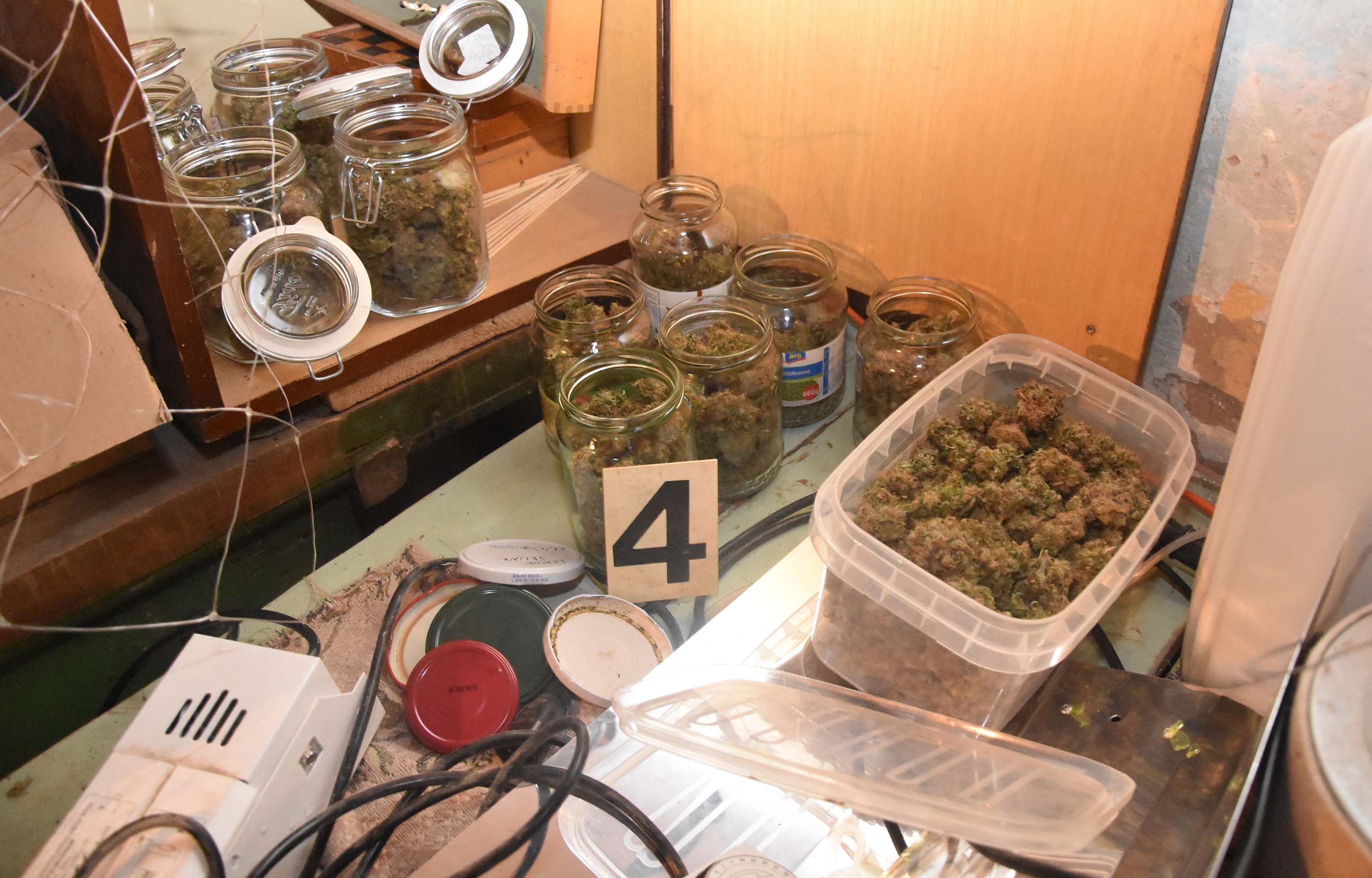 Zaplenjeno sedam kilograma marihuane