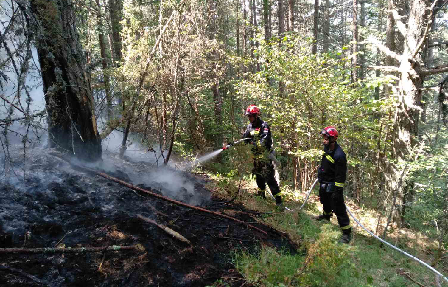 Uspešno presečena zapadna strana požara koji je zahvatio borovu šumu u blizini mesta Negbina, kod Nove Varoši