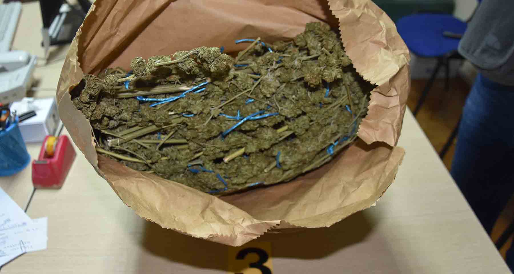 Zaplenjeno devet kilograma i 800 grama marihuane,otkriven zasad  i uhapšeni osumnjičeni 