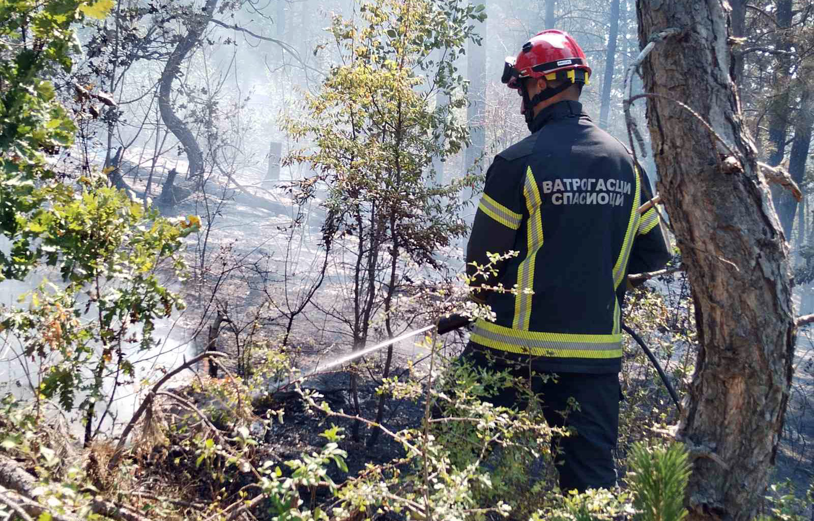 Požar koji je juče popodne izbio u mestu Pavlјe, kod Novog Pazara, stavlјen je pod kontrolu