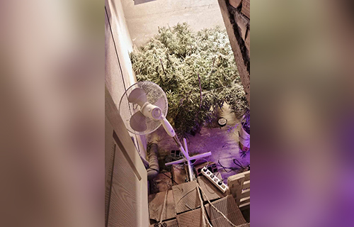 Пронађена импровизована лабораторија за узгој марихуане